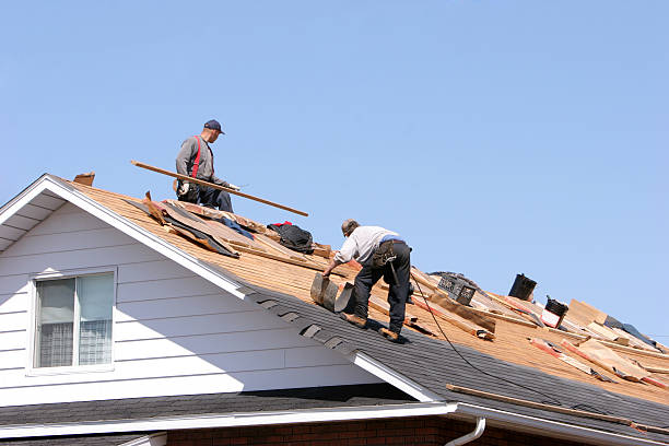 Best Roof Ventilation Installation  in Belle Haven, VA