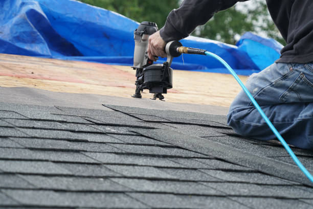 Best Cold Roofs  in Belle Haven, VA