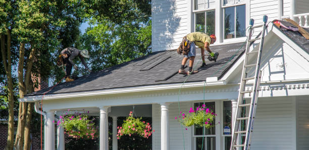 Best Metal Roofing Installation  in Belle Haven, VA